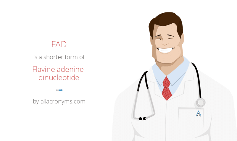 Fad - Flavine Adenine Dinucleotide 477_x_801_png