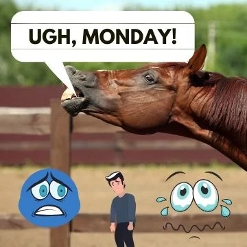pic Super Funny Profile Pics 100 funny profile pictures funny pics cool profile pics