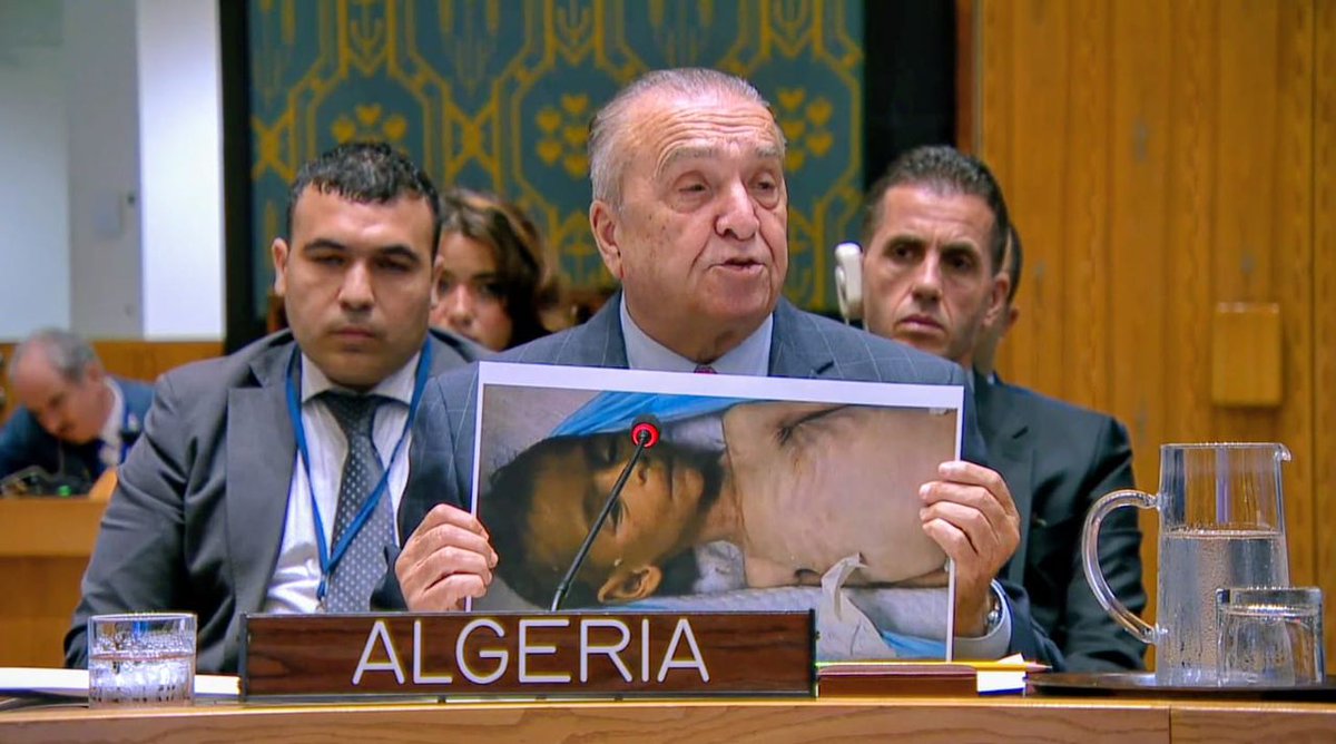 باستثناء الولايات المتحدة&hellip; أعضاء مجلس الأمن يدعون إلى هدنة فورية وغير مشروطة في غزة