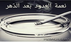 Santri Millenial: Oase di tengah “Sahara” Media Sosial