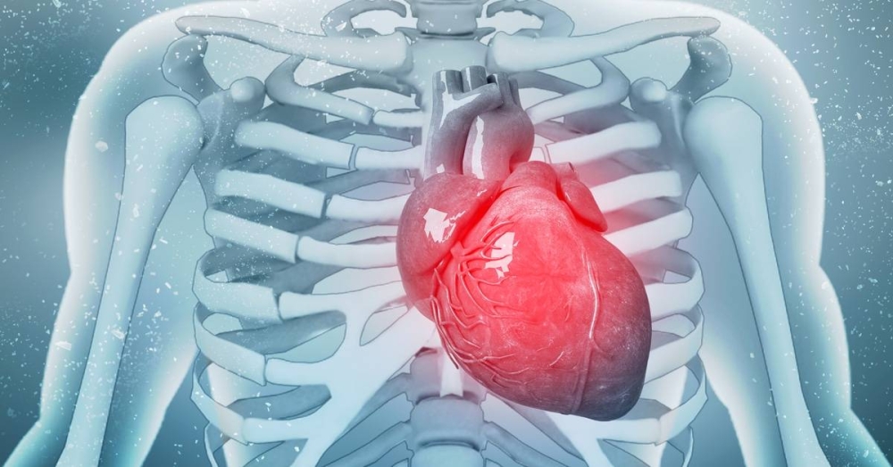 دراسة: ضجيج المرور لليلة واحدة يؤثر في صحة القلب دراسة: ضجيج المرور لليلة واحدة يؤثر في صحة القلب