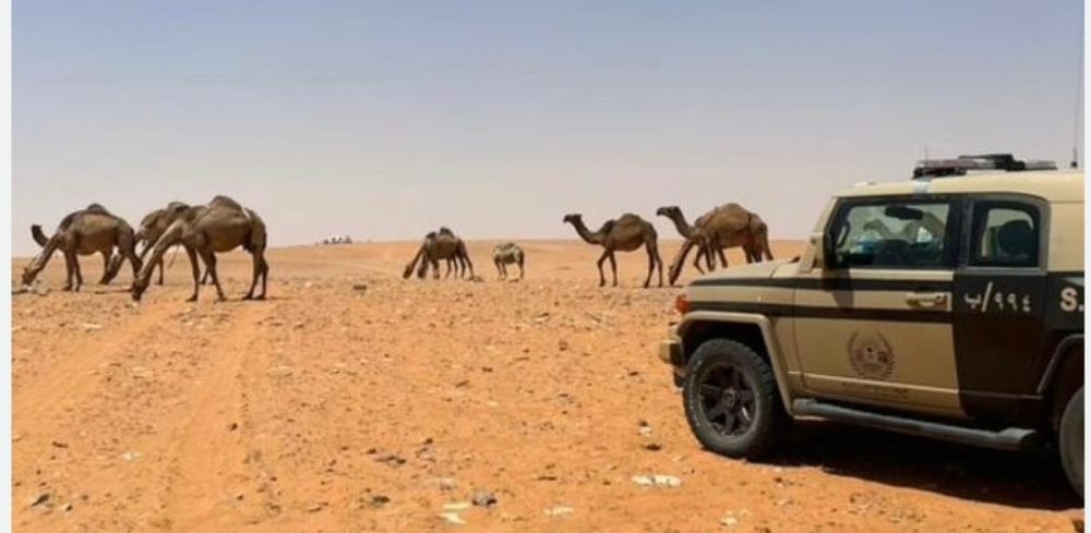 ضبط مواطنين بتهمة مخالفة نظام البيئة في محمية الملك عبدالعزيز وحائل