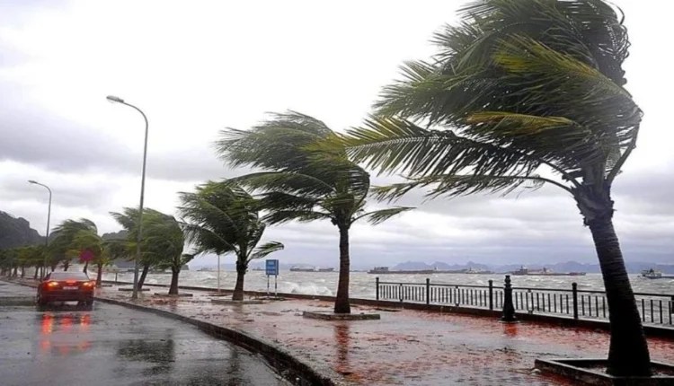 طقس الجمعة.. أمطار وثلوج بهذه المناطق