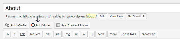 · before you start · web inspector basics · chrome · firefox · safari · internet explorer. Explorer - Premium WordPress Theme