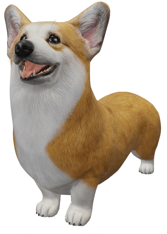 The word ovoid emerged in the early 19th century from the french ovoïde, and latin ovoides, both r. Google 3d Animals Ar Objects Full List Gallery Android Central