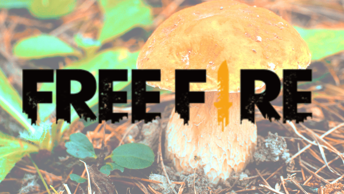 There are some tips to reach free fire level 4 mushroom locations quickly then get. Jamur Free Fire? Dapatkan Ulasan Manfaat dan Levelnya!