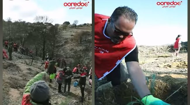 بالفيديو : أوريدو تونس تعزز جهودها الوطنية لإعادة التشجير