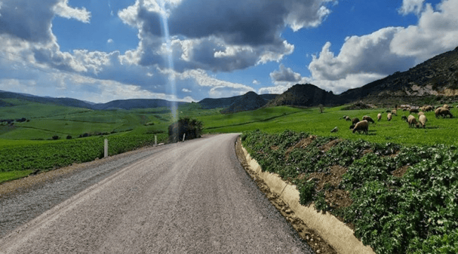 تونس : سحب عابرة في أغلب الجهات وأمطار متفرقة