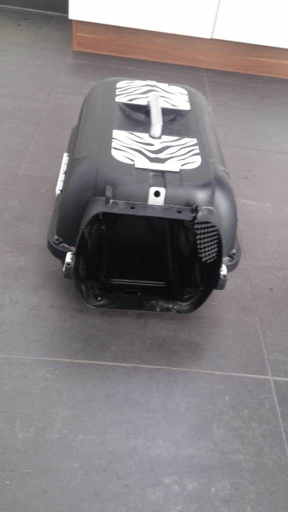 Hund findet ausgesetzte Katze Arche 90 e. V.