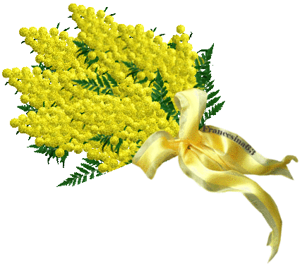 Ariafritta Volete Fare Un Augurio Ecco Il Posto Giusto