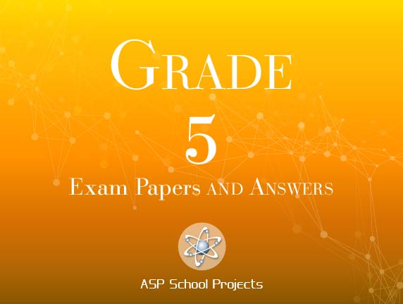 grade 5 practice test papers for exam preparation caps