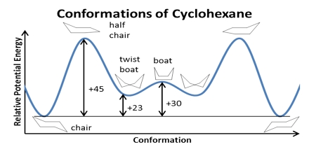 33+ Fresh Cyclohexane Chair Conformation - Media Portfolio / Professional appraiser helaine fendelman identifies and evaluates your collectibles and antiques.