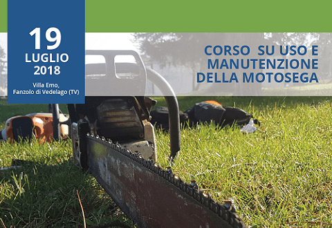 Corso Su Uso E Manutenzione Della Motosega – Assoiride 330_x_480_webp