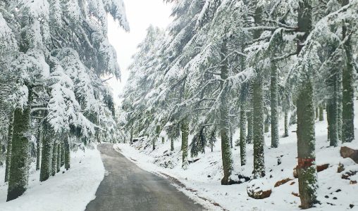 الرداء الأبيض يكسو أعالي جبال خنيفرة.. انتعاشة مائية واعدة وفرحة استثنائية بـ”تيمدغاس” الرداء الأبيض يكسو أعالي جبال خنيفرة.. انتعاشة مائية واعدة وفرحة استثنائية بـ”تيمدغاس”