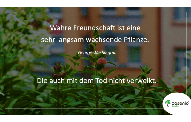 100 Personliche Trauerspruche Fur Freunde Bekannte