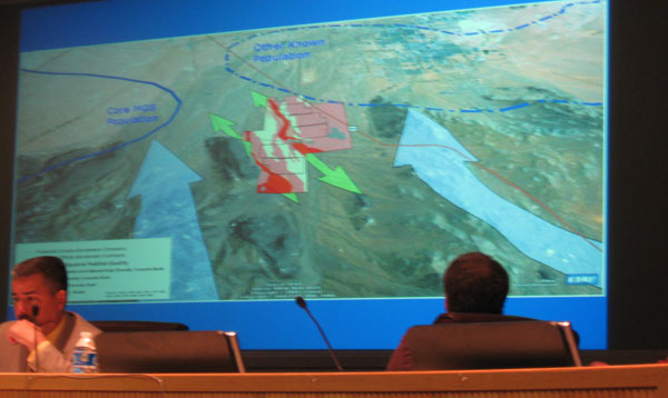 solar Millennium Ridgecrest Mojave Ground Squirrel