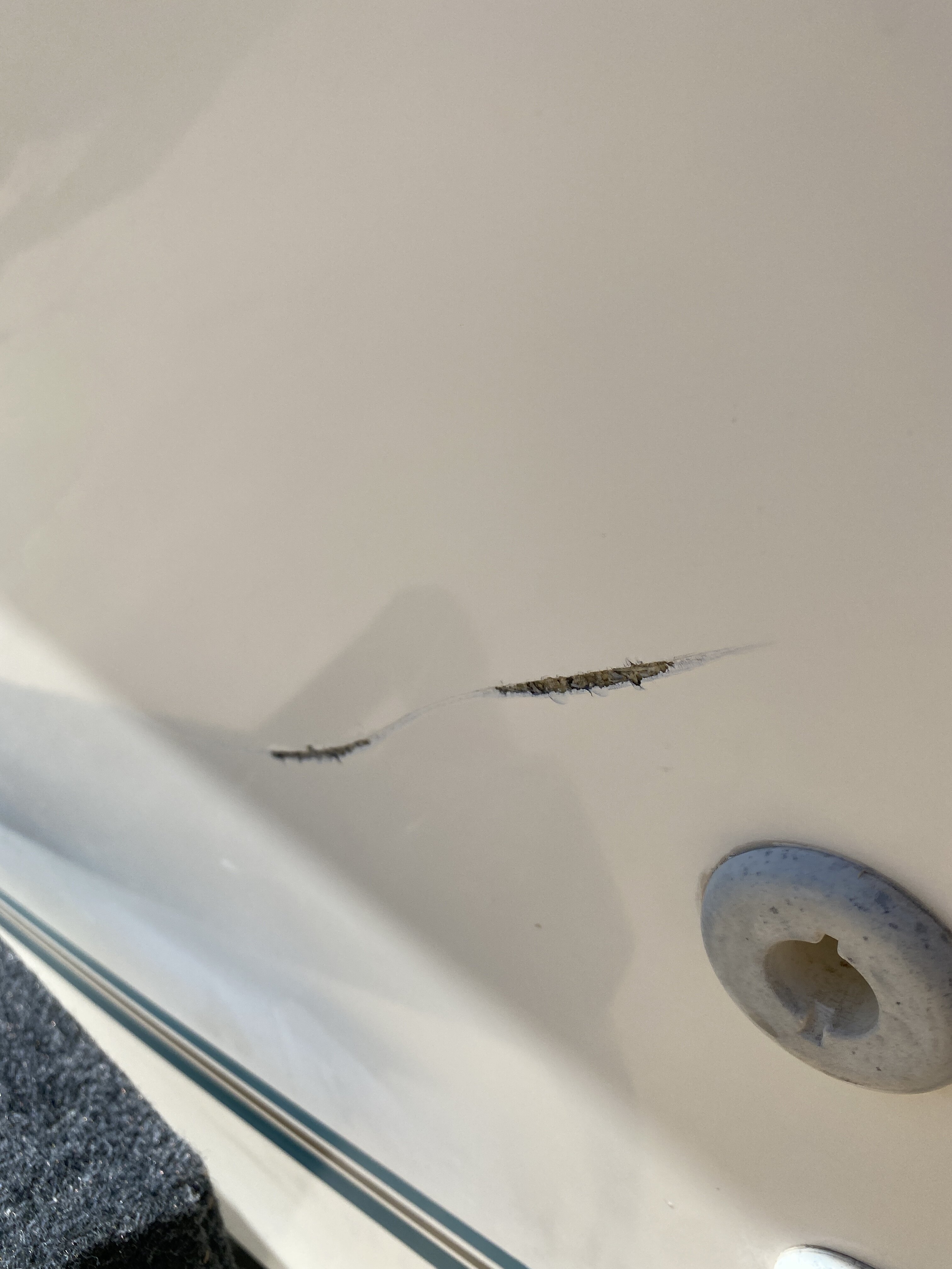 Daniel wet sands his own chaparral and . How Do You Fix A Deep Scratch In Hull Bloodydecks