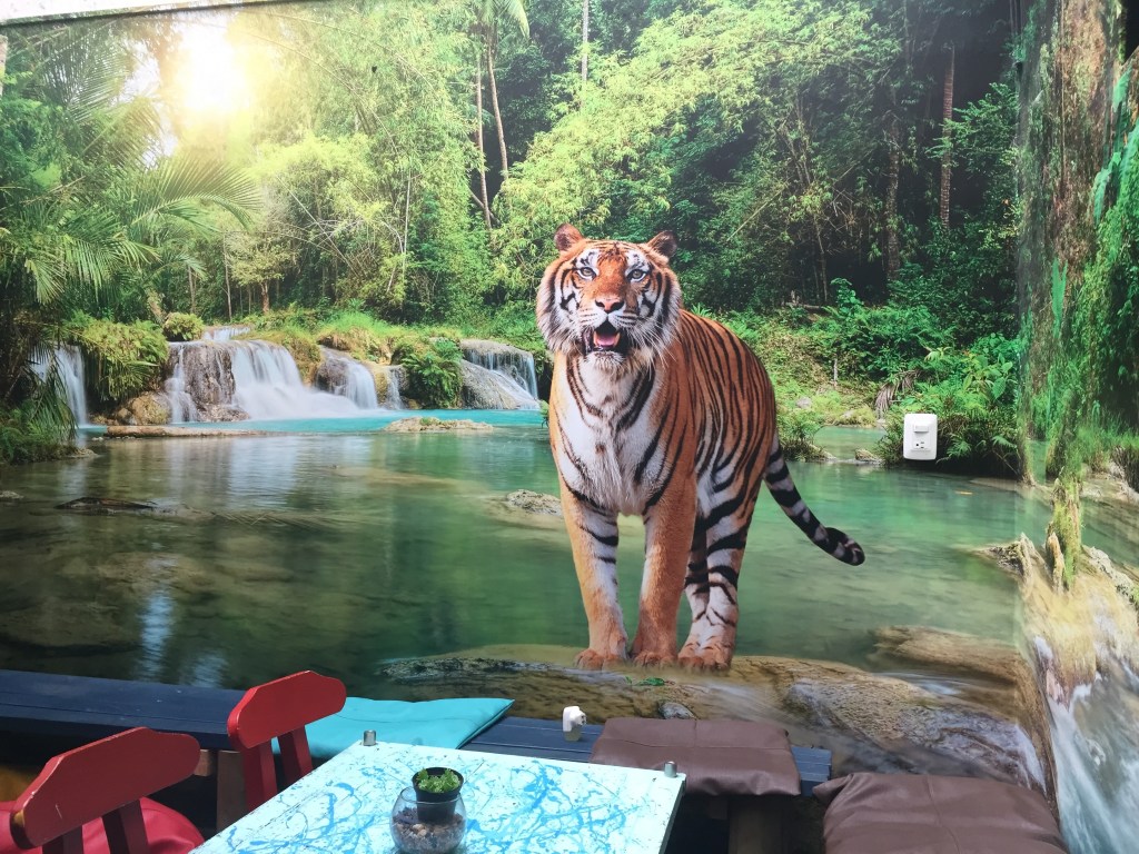 Tiger Hostel