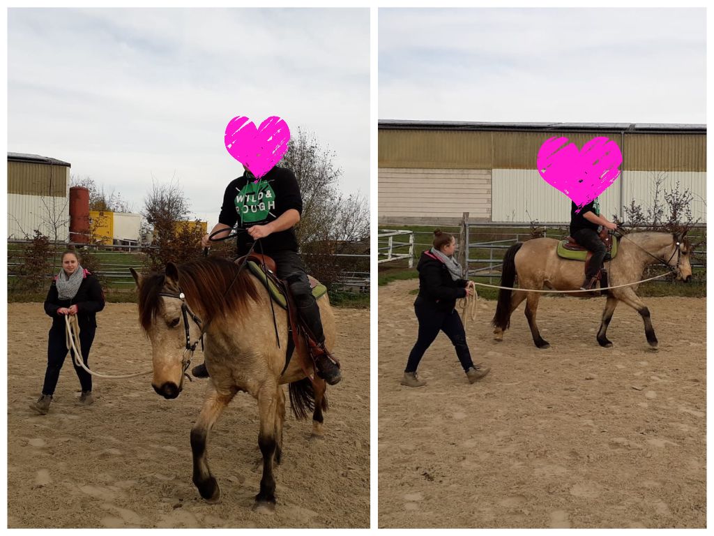 Pferdeosteopathie dipo/ pferdephysiotherapie / kontrolle lederbaumsättel/ futtermittelberatung. Was Wurde Aus Hidalgo Bernd Hackl Pferdetraining