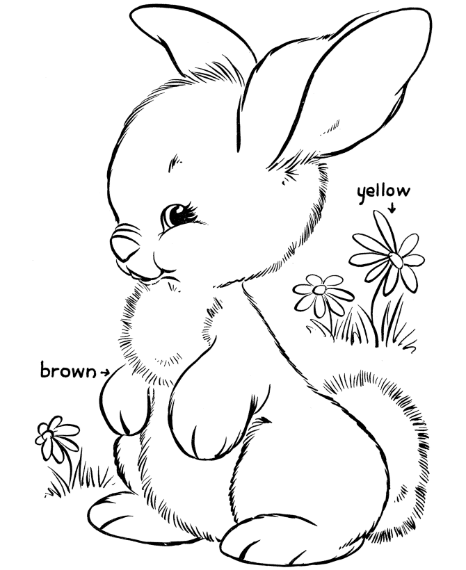 free printable rabbit coloring pages for kids
