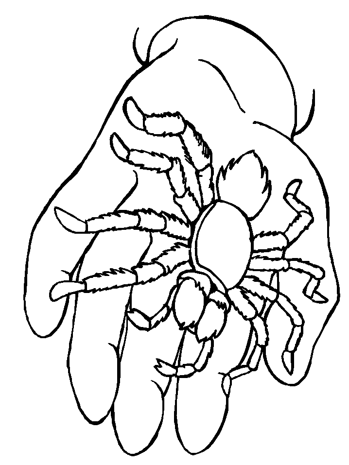 Plus, it’s an easy way to celebrate each season or special holidays. Free Printable Spider Coloring Pages For Kids