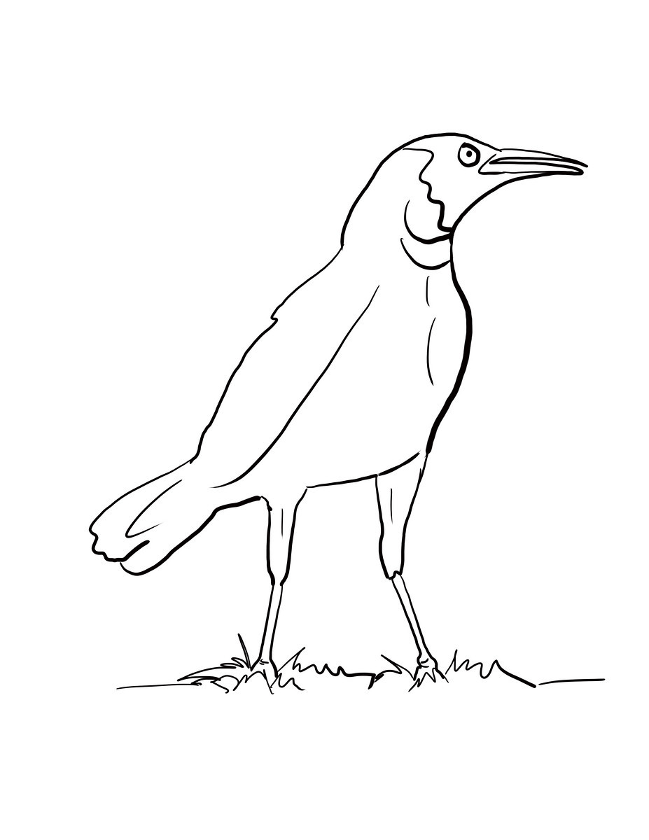 These alphabet coloring sheets will help little ones identify uppercase and lowercase versions of each letter. Crow Coloring Pages Best Coloring Pages For Kids