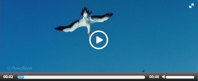 Playing video on mobile can be a chore sometimes. 7 Great WordPress Video Plugins For Showing Video in Better Way - Better Tech Tips