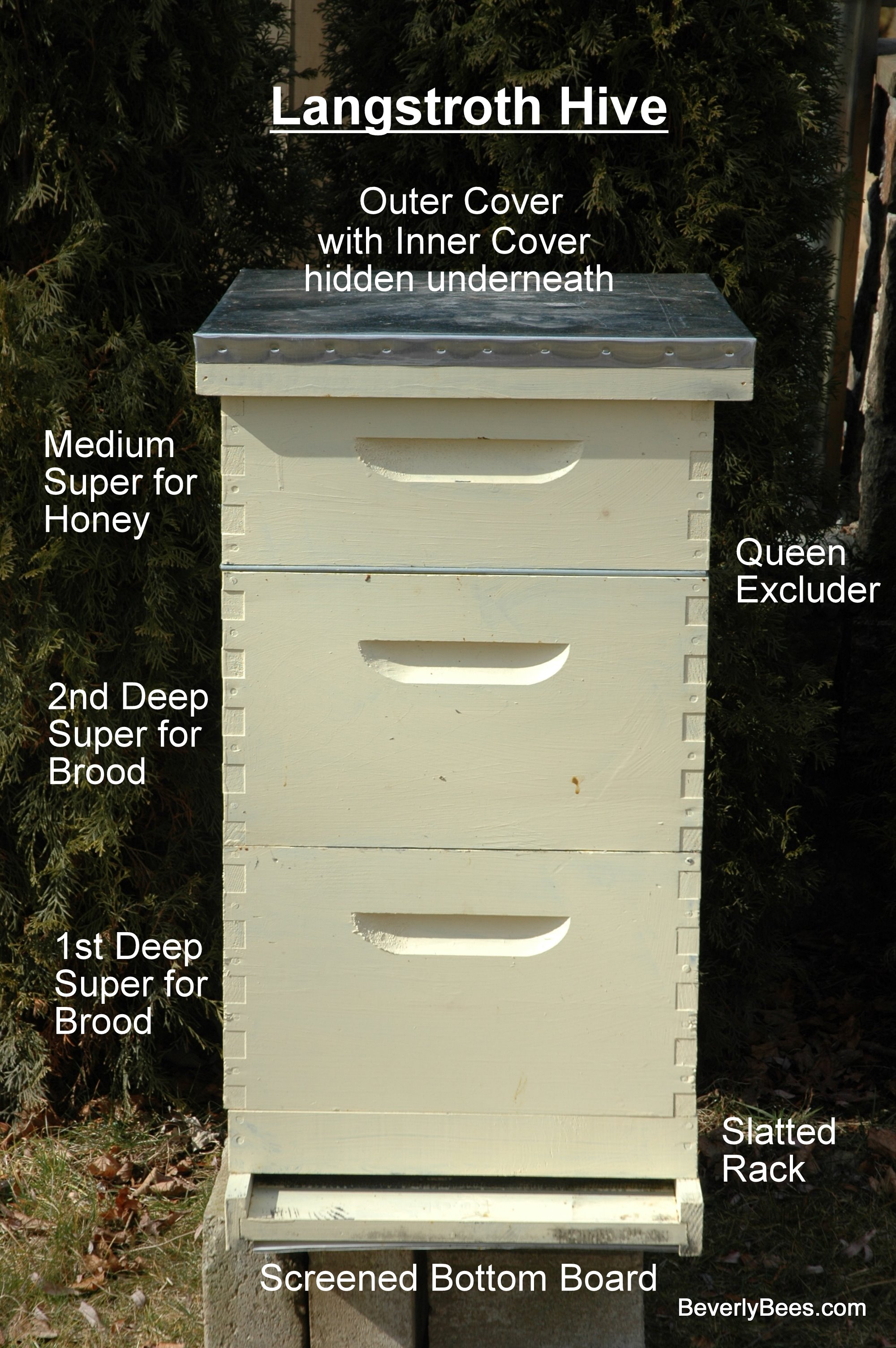 Here's how to identify the rash and prevent it from coming back here's how to identify the rash and prevent it from coming back hives is a rash illness that can afflict anyone, including young kids. Parts of a Beehive - Beginner Beekeeper's Guide