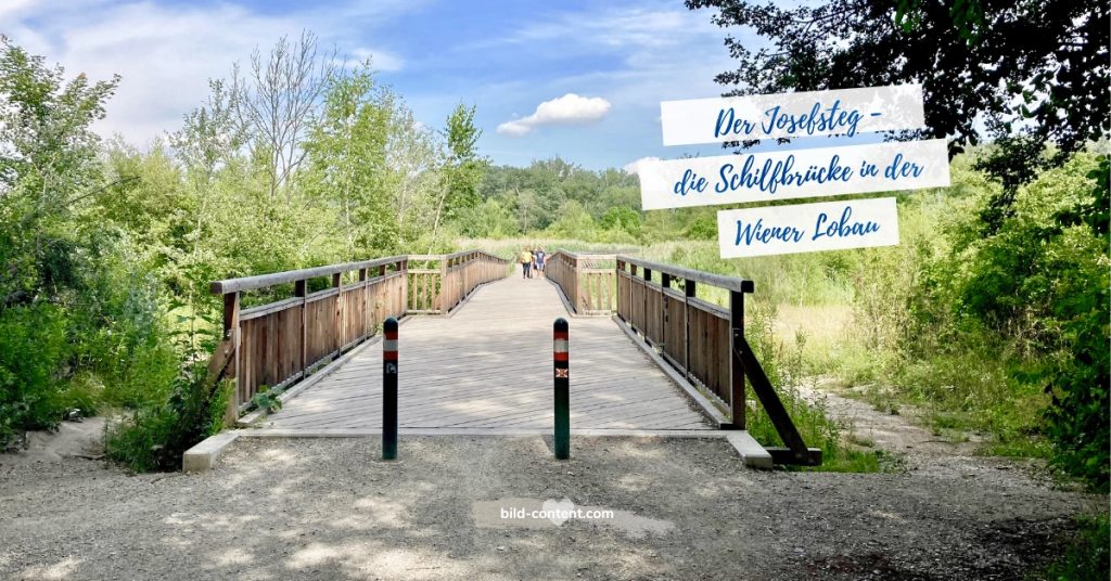 Lobau : Spaziergang Donau Auen Obere Lobau Dechantlacke Und Josefsteg Bild Content Com