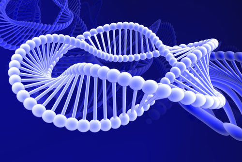 Sains for Human: Beberapa Mutasi Genetik dan Pengertiannya.