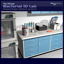 Learn about the science and techniques used to identify different types of bacteria based on their dna sequence . Bacterial Identification Virtual Lab
