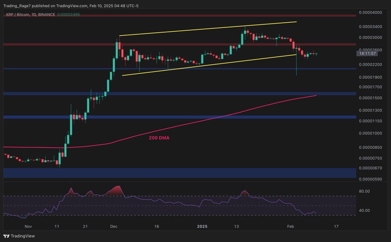 Ripple Price Analysis: Can XRP Maintain Its Bullish Momentum After the Crash? 2 IMG 2876