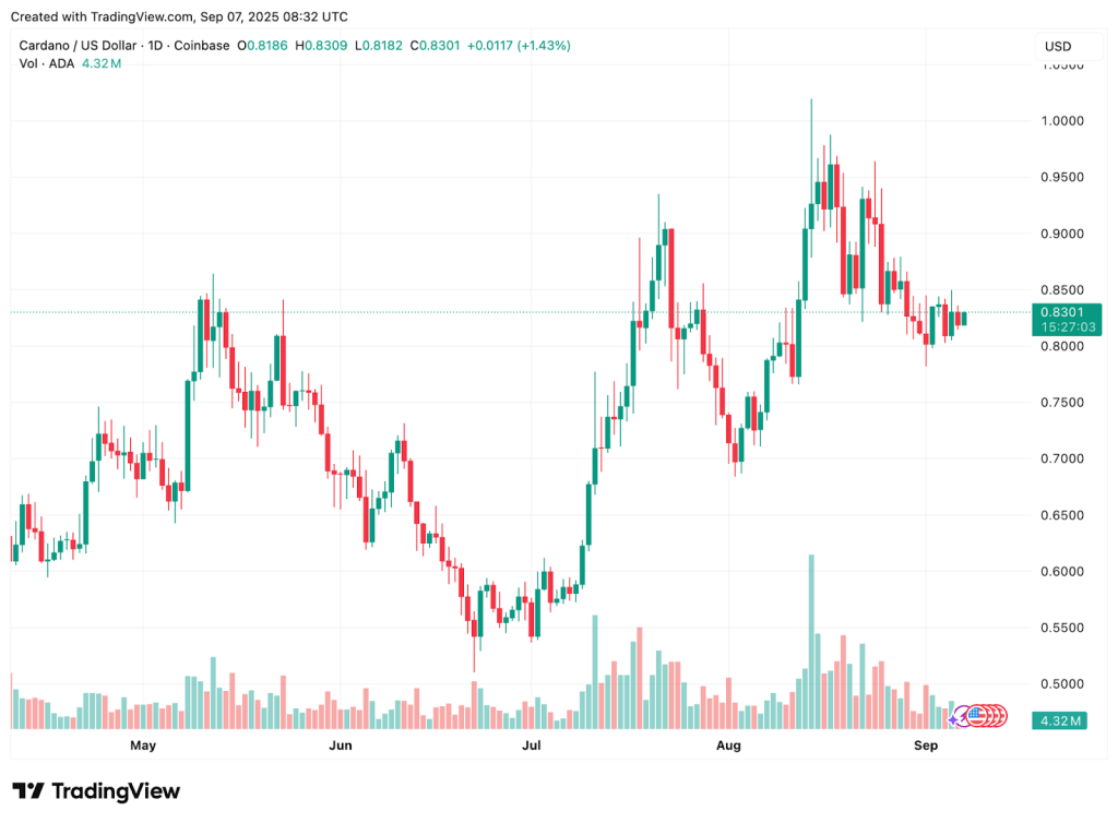 Polkadot And Cardano Continue To Face Headwinds As Remittix Tipped As The Best Investment In 2025 5 Remittix