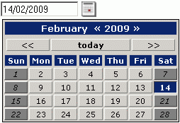 date-picker-control