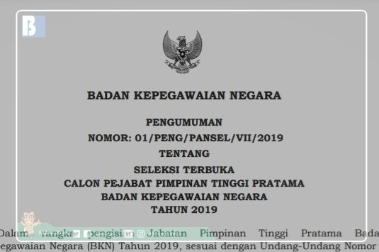 Seleksi Terbuka Calon Pejabat Pimpinan Tinggi Pratama – Badan Kepegawaian  Negara