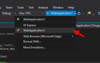 Select the application in the run options