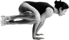 About Iyengar Yoga By Gabriella Giubilaro