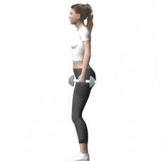 Horizontale beinpressen sind recht schmal und einfach . Kniebeuge, Kurzhantel | Ãbung | Krafttraining