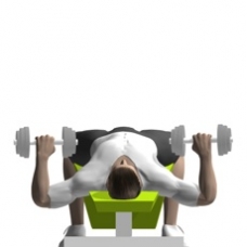 22+ Best Brustmuskel Innen : DehnÃ¼bungen schÃ¶ne Beine Dehnen Fitness AufwÃ¤rmÃ¼bungen : Zunächst ist da der große brustmuskel zu nennen, der musculus.