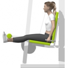 Beinpresse kaufen | top qualität ✓ top angebote ✓ schnelle lieferung ✓ jetzt. Beinstrecken, Station, Hebelarm | Ãbung | Krafttraining