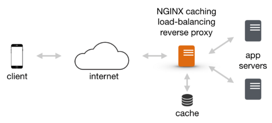 It took a while to find the exact settings needed to get . Wordpress Nginx Reverse Proxy Https - BWODS