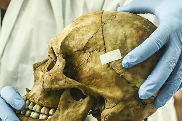 Bilim insanlarฤฑ, kafatasฤฑnda yeni bir organ buldu Borsatek