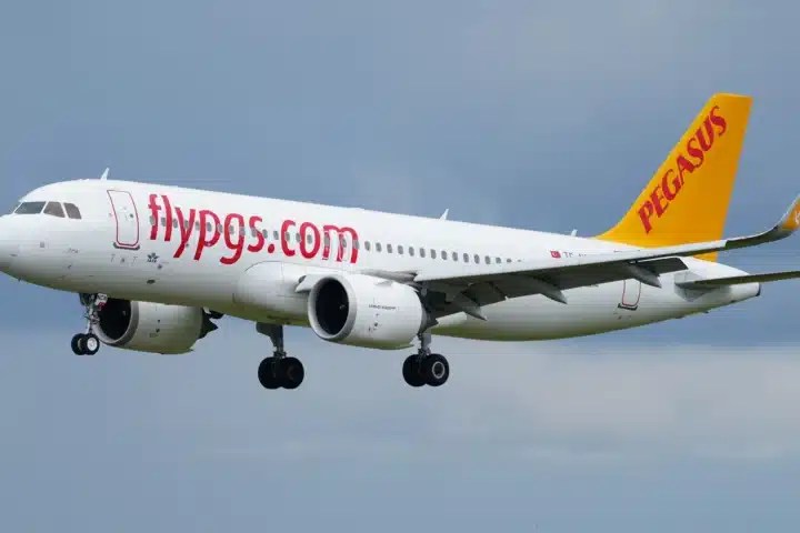pegasus, pgsus