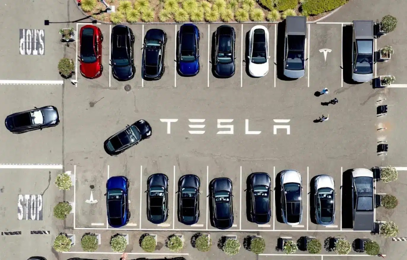Tesla hisseleri sıçradı: Gizemli paylaşım yeni ürün ipucu veriyor 1 Tesla