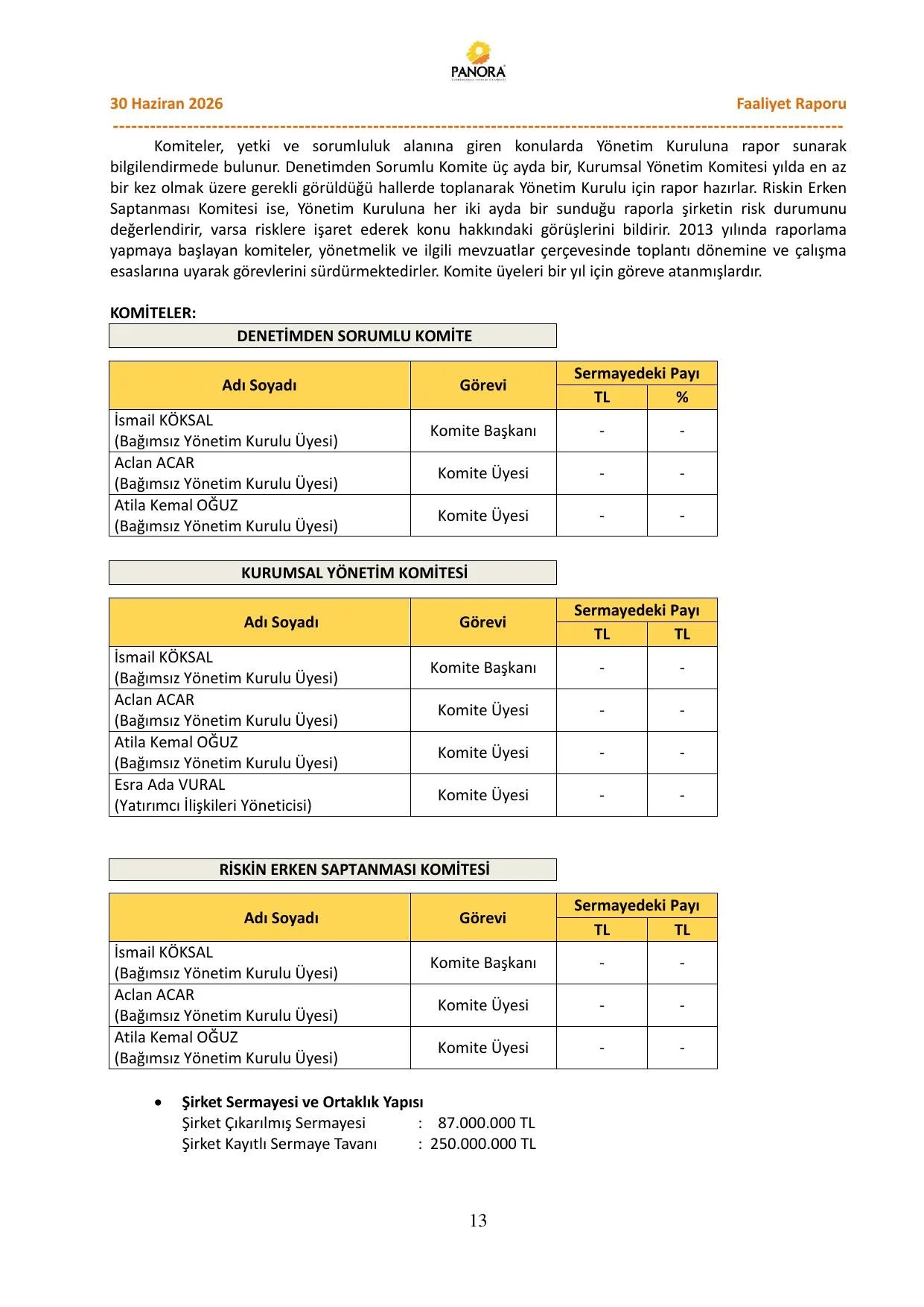 Panora GYO 30 06 2026 Faaliyet Raporu (fg).pdf โ sayfa 14