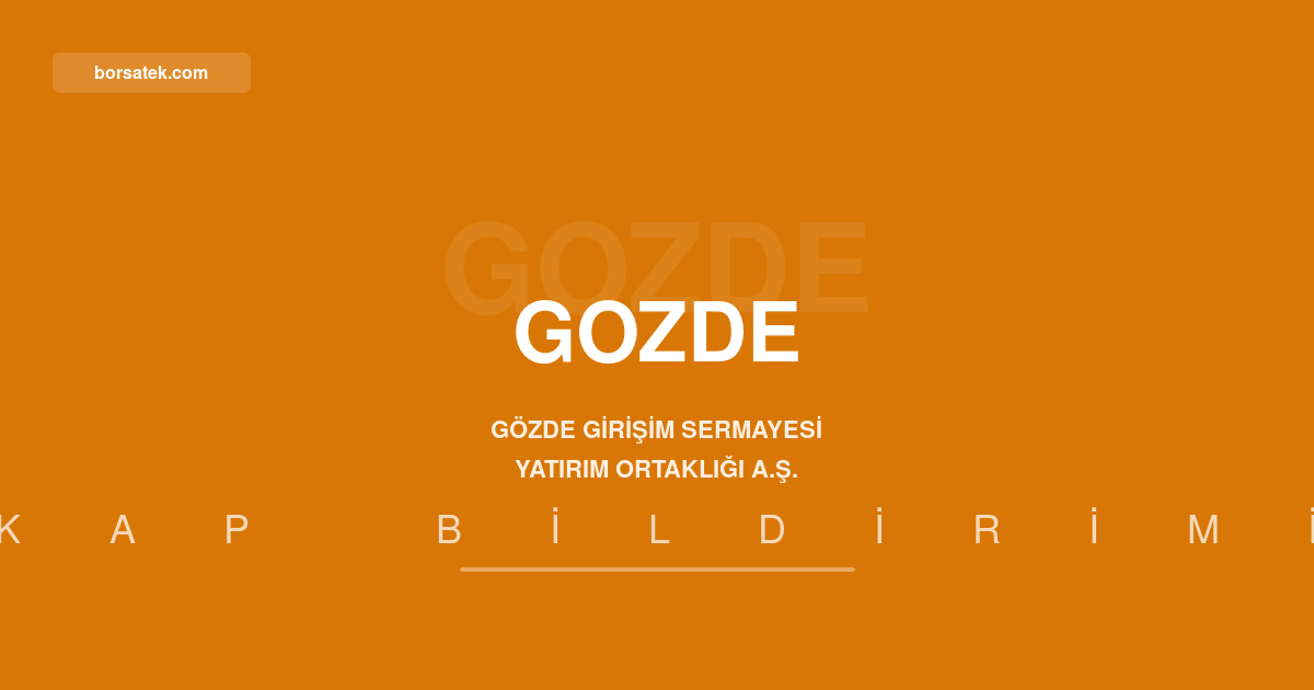 Gรถzde Giriลim 2,4 milyar TL net zarar aรงฤฑkladฤฑ Borsatek