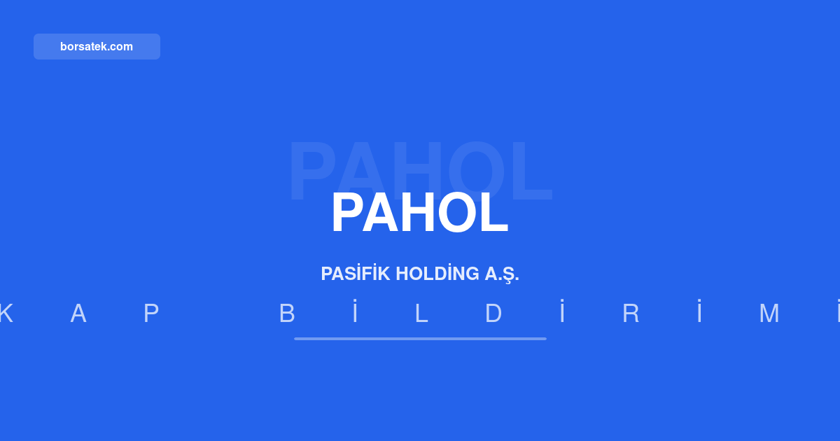 Pasifik Holding 2026 yฤฑlฤฑ ilk yarฤฑ faaliyet raporunu aรงฤฑkladฤฑ Borsatek