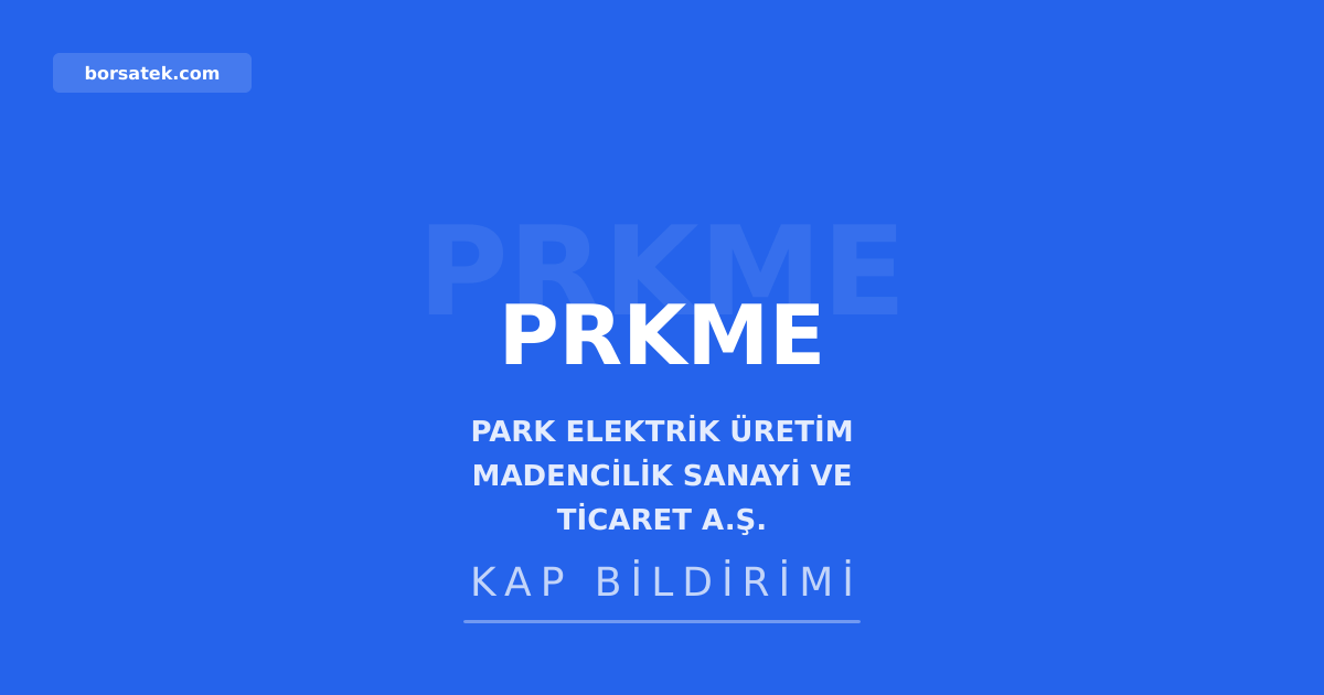 Park Elektrik'ten 2025 yılı için kâr payı dağıtılmayacak Borsatek