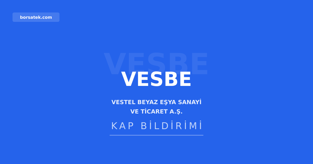 Vestel Beyaz Eşya, finansal yeniden yapılandırma başvurusunda bulundu Borsatek