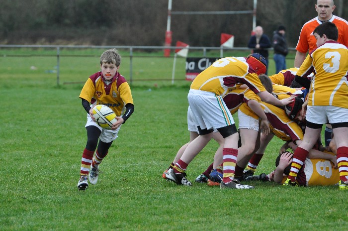 Bruff v UL Bohs u13 Bruff Rugby Football Club